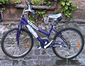 BICICLETA_MILANO_LILA16_120_93 BICICLETA_MILANO_LILA16_120_93