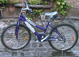 BICICLETA_MILANO_LILA16_269_193