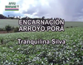 TETA_PI_PYPEGUA_ARROYO_PORA_TRANQUILA_121x96 TETA_PI_PYPEGUA_ARROYO_PORA_TRANQUILA_121x96
